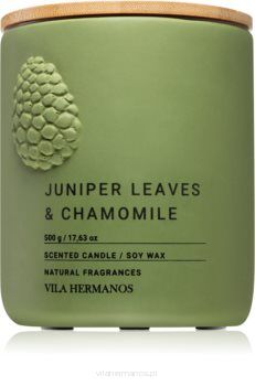 Juniper Leaves & Chamomille - Vila Hermanos - świeca zapachowa 500g - seria Concrete Fall Collection